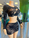 Mesh Skirt Set