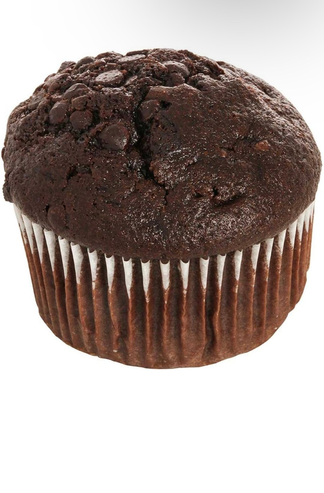 Chocolate Chocolate chip muffin