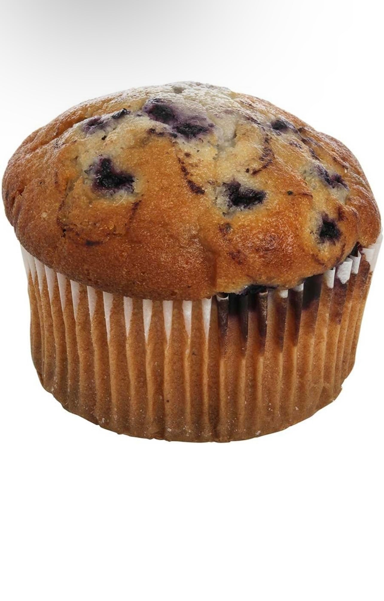 Wild Blueberry Muffin