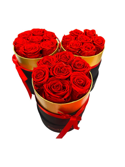 RD LUXURY ROSES