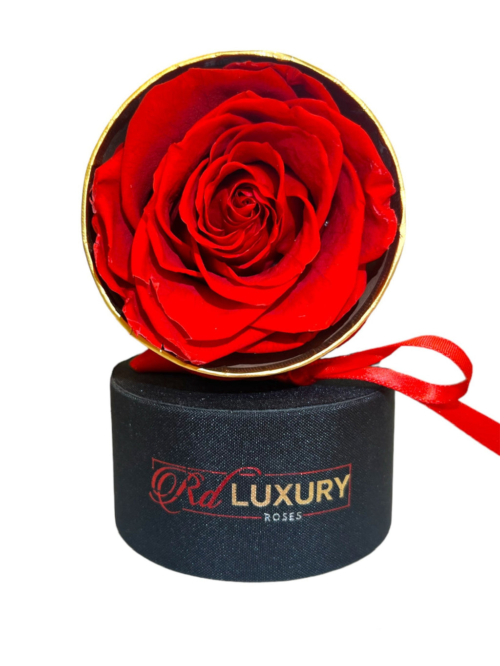SMALL RD LUXURY ROSES