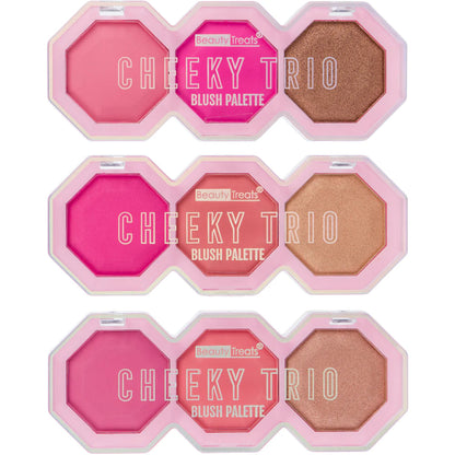 BEAUTY TREATS - BLUSH PALETTE DISPLAY
